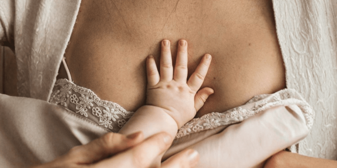 Introduction to Breastfeeding, Benefits, Nipple Shields & Weaning - AuraLai